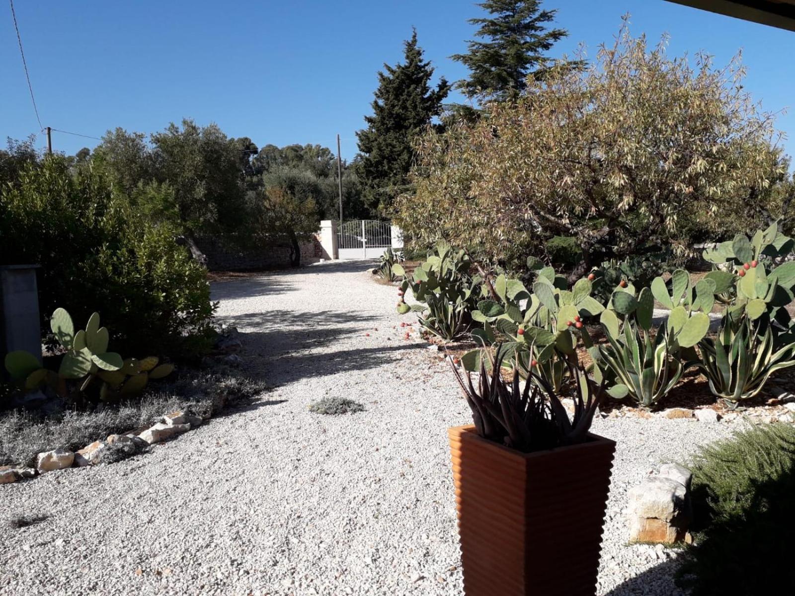 Masseria Due Torri Monopoli Szoba fotó