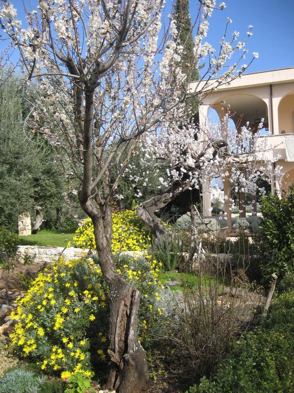 Masseria Due Torri Monopoli Szoba fotó