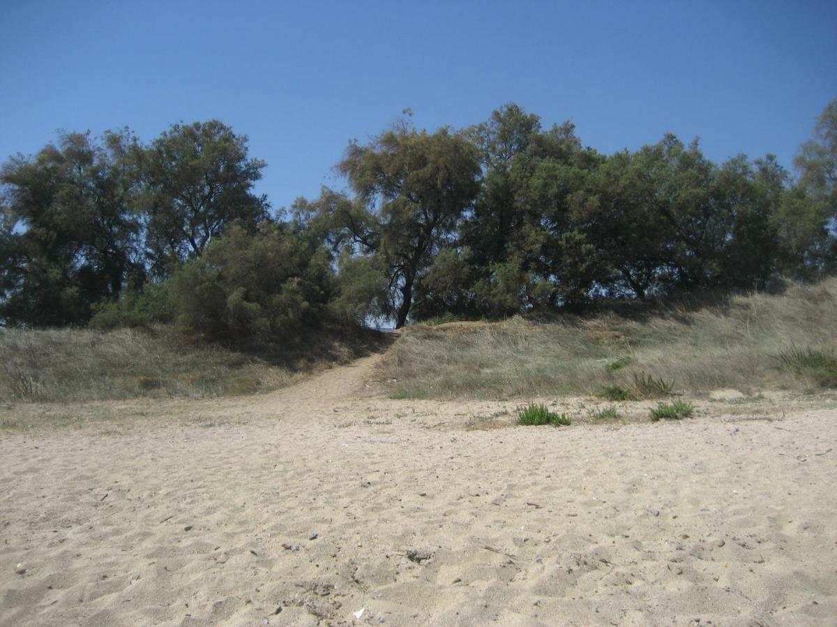 Masseria Due Torri Monopoli Szoba fotó