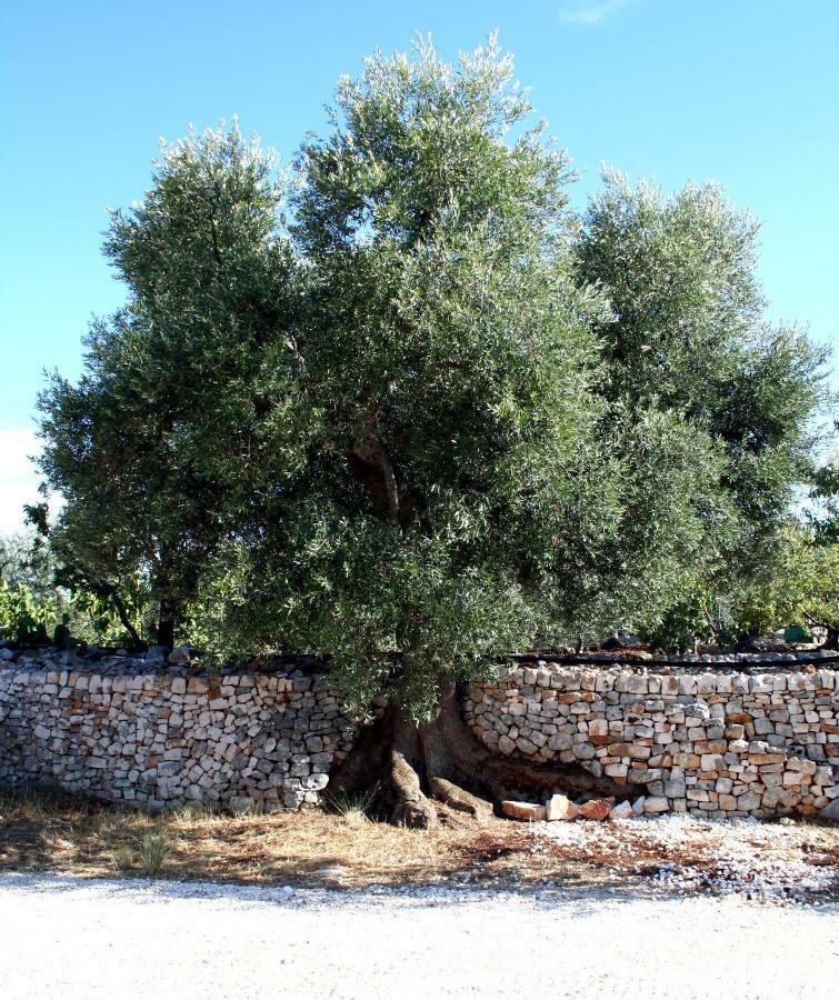 Masseria Due Torri Monopoli Kültér fotó