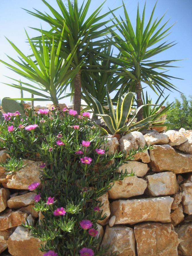 Masseria Due Torri Monopoli Kültér fotó